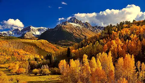 An autumn Colorado landscape with golden aspen trees on rolling hills stretching back to snow covered Rocky Mountains. There are fluffy white clouds rolling over the mountains set against a deep blue sky.